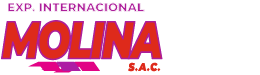 Internacional Molina