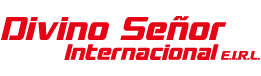 Transportes Divino Internacional
